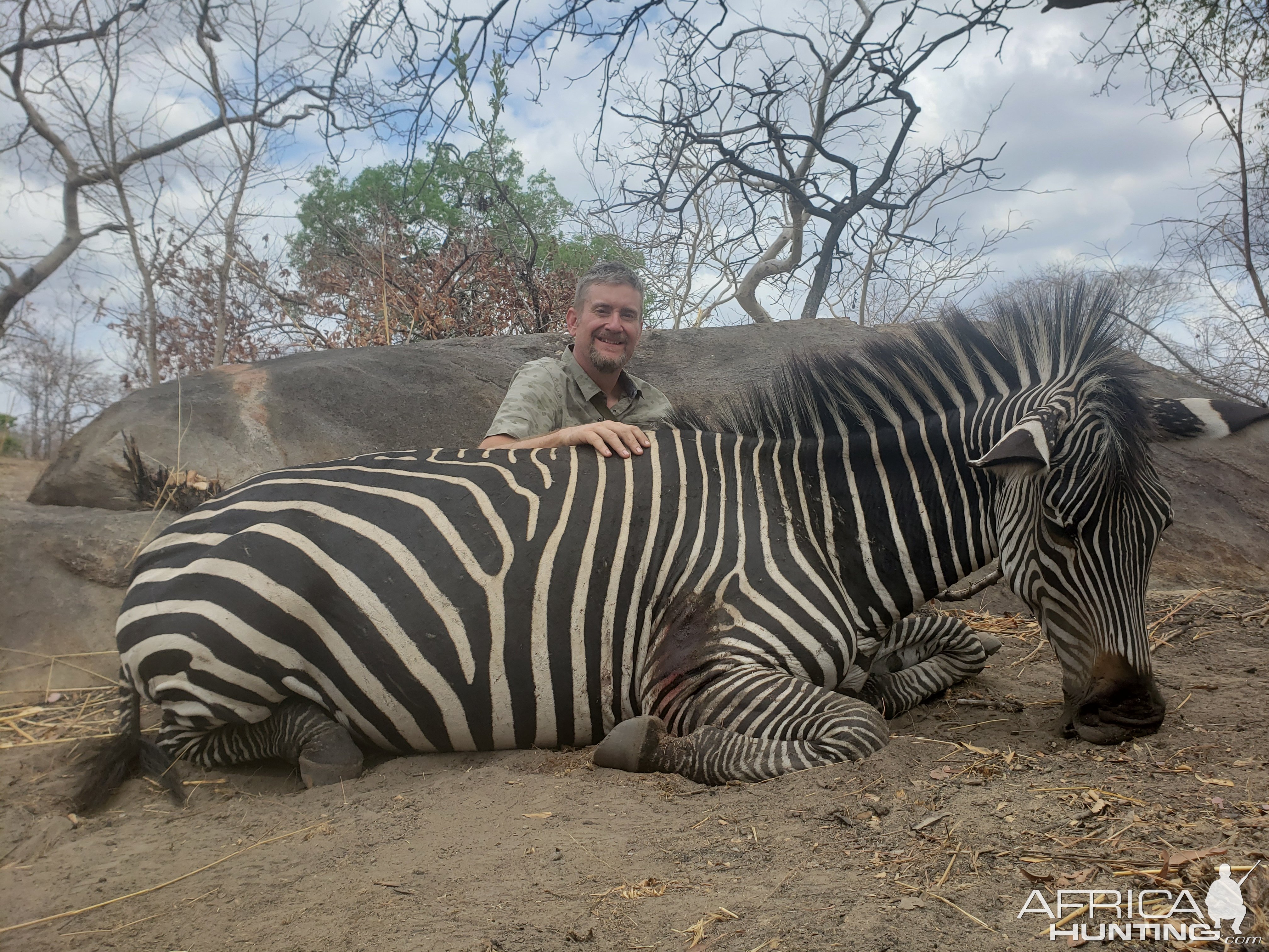 Zebra Hunting Mozambique