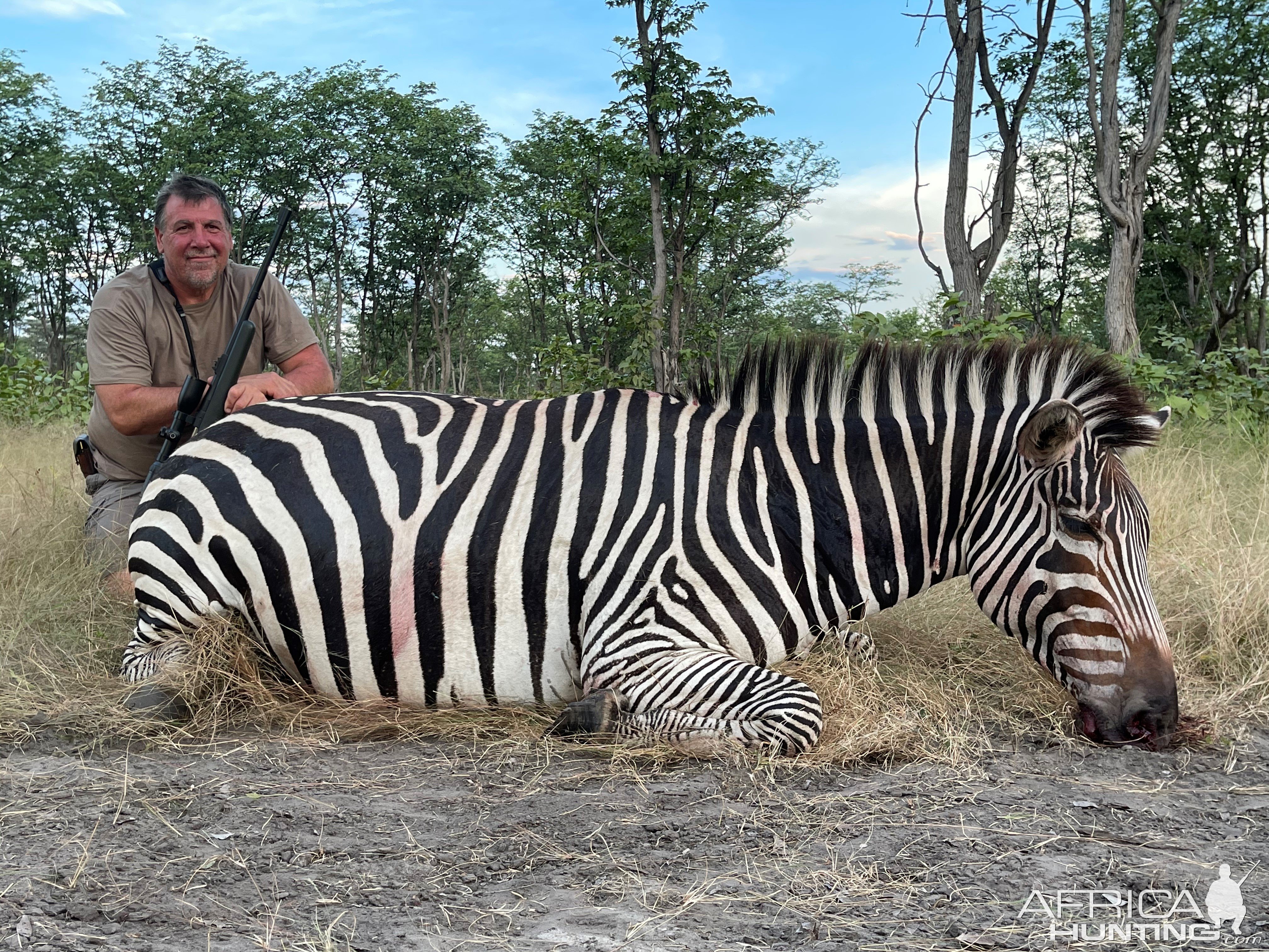 Zebra Hunting Namibia