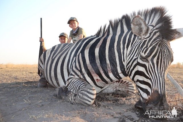 Zebra Hunting Namibia