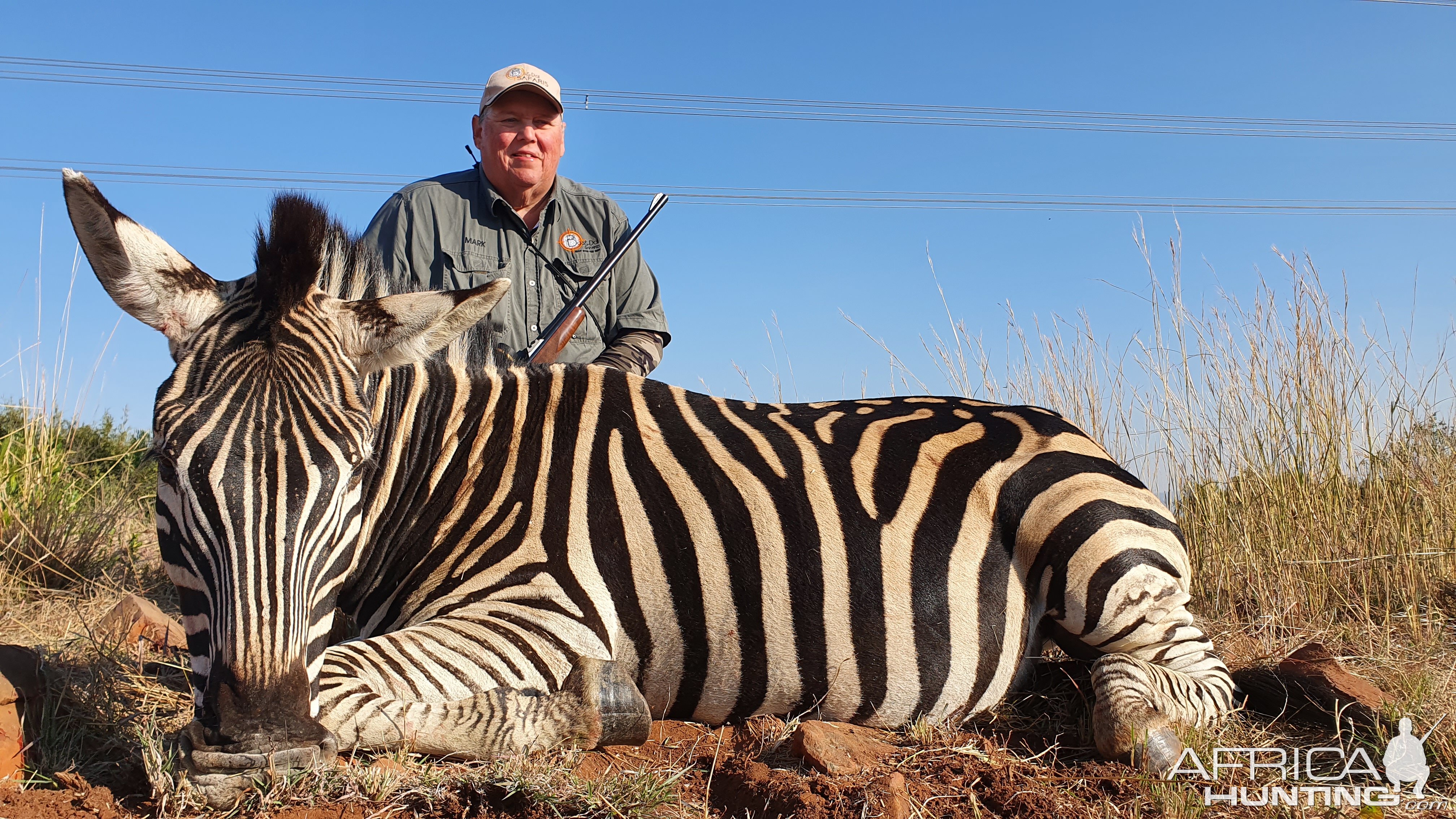 Zebra Hunting South Africa