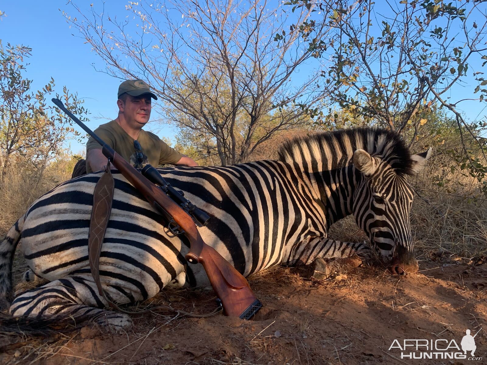 Zebra Hunting South Africa