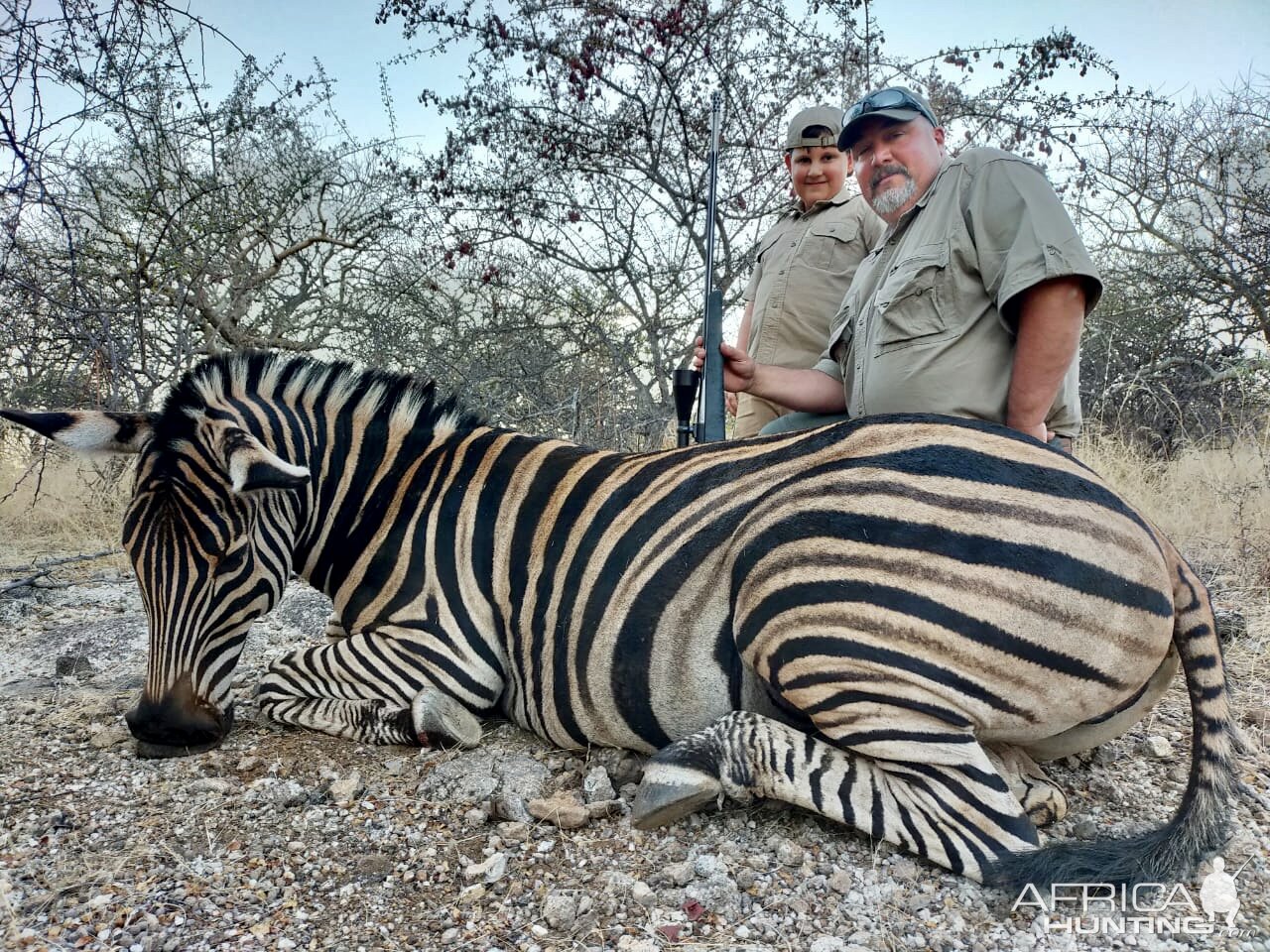 Zebra Hunting South Africa