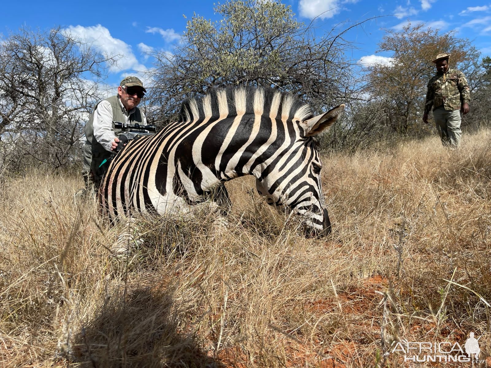 Zebra Hunting South Africa