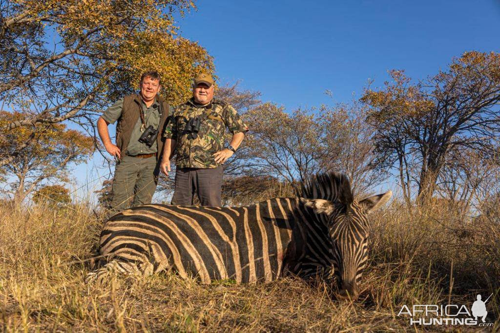 Zebra Hunting South Africa