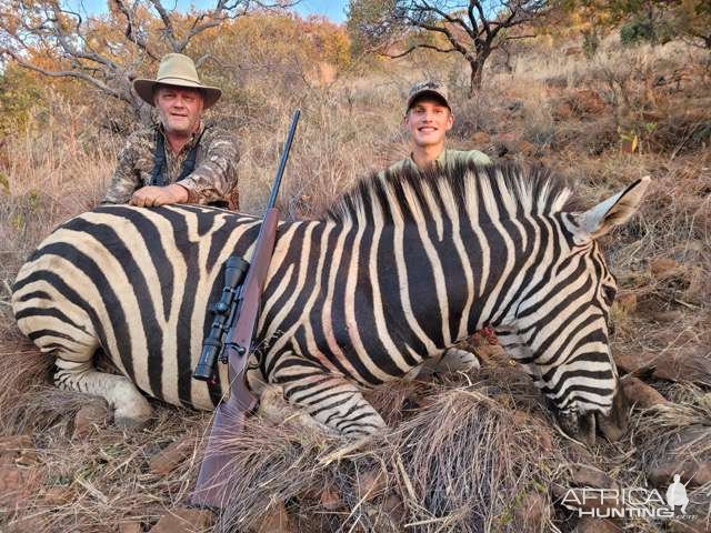 Zebra Hunting South Africa