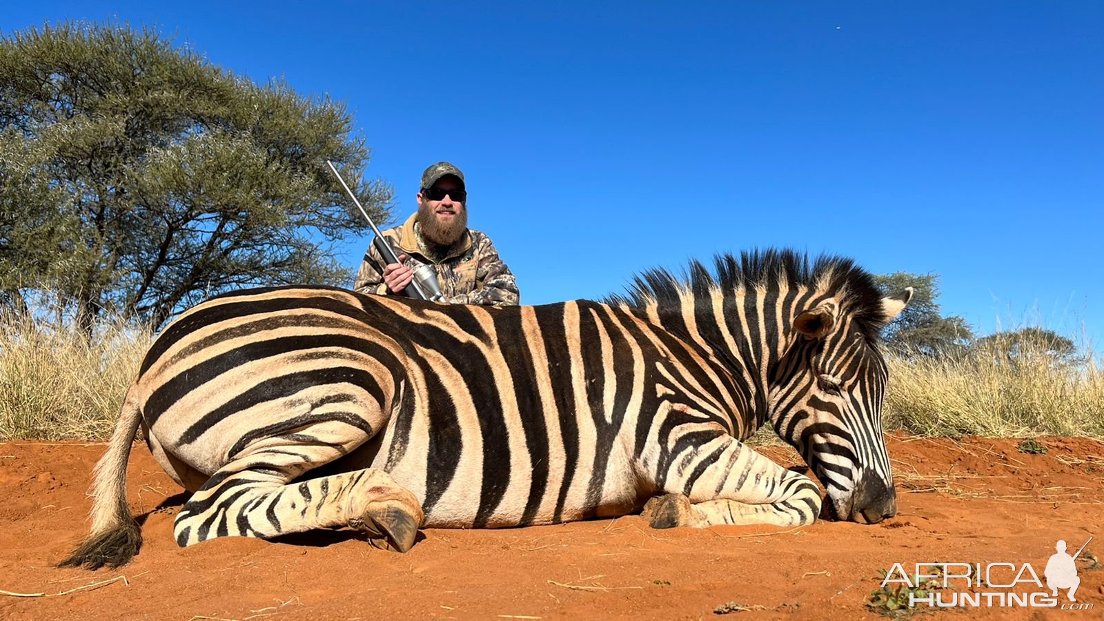 Zebra Hunting South Africa