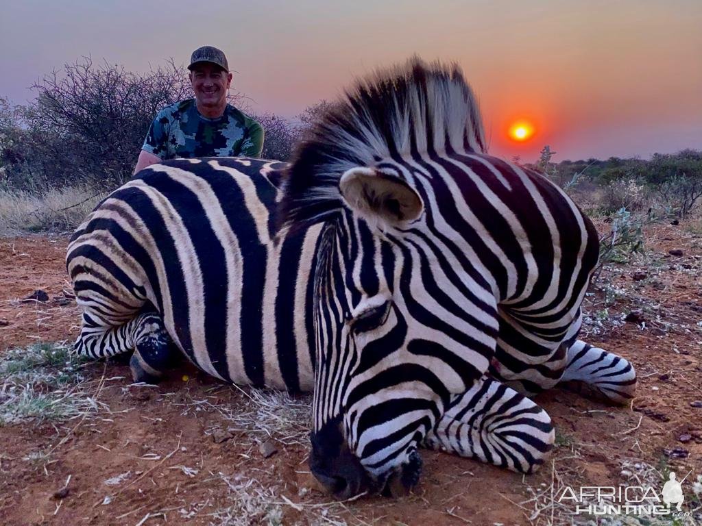 Zebra Hunting South Africa