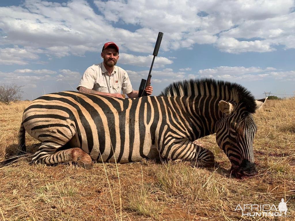 Zebra Hunting South Africa