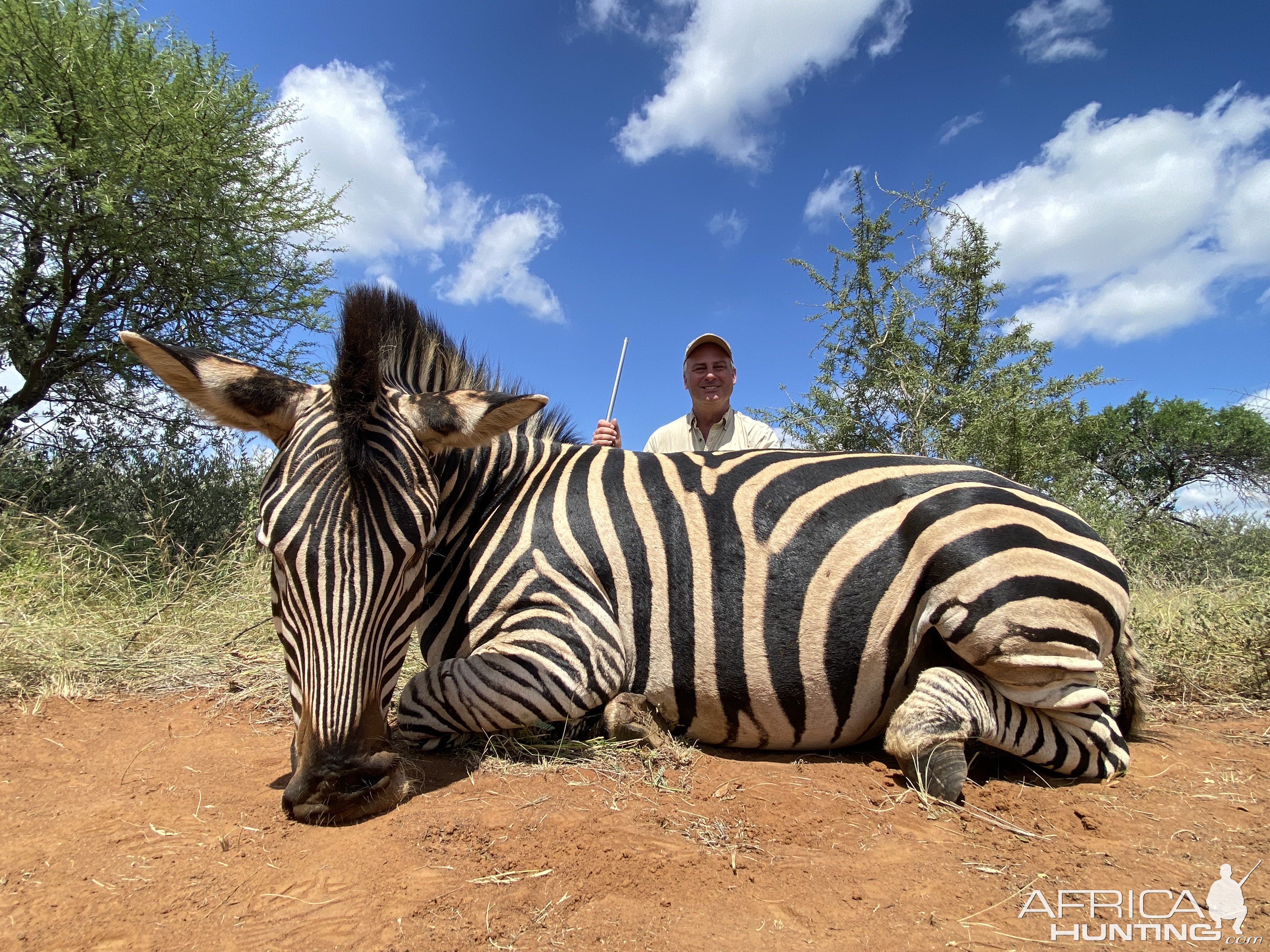 Zebra Hunting South Africa