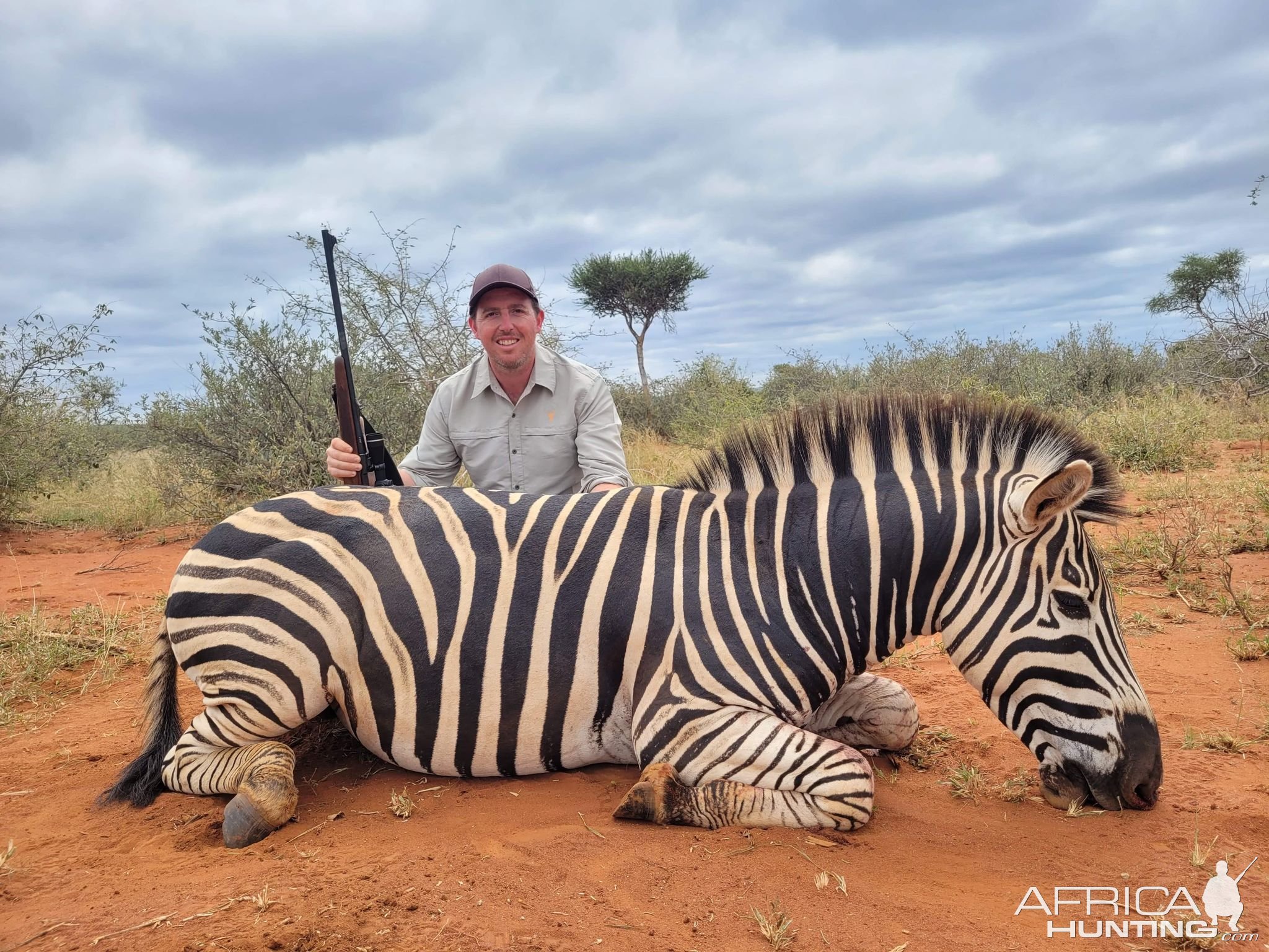 Zebra Hunting South Africa