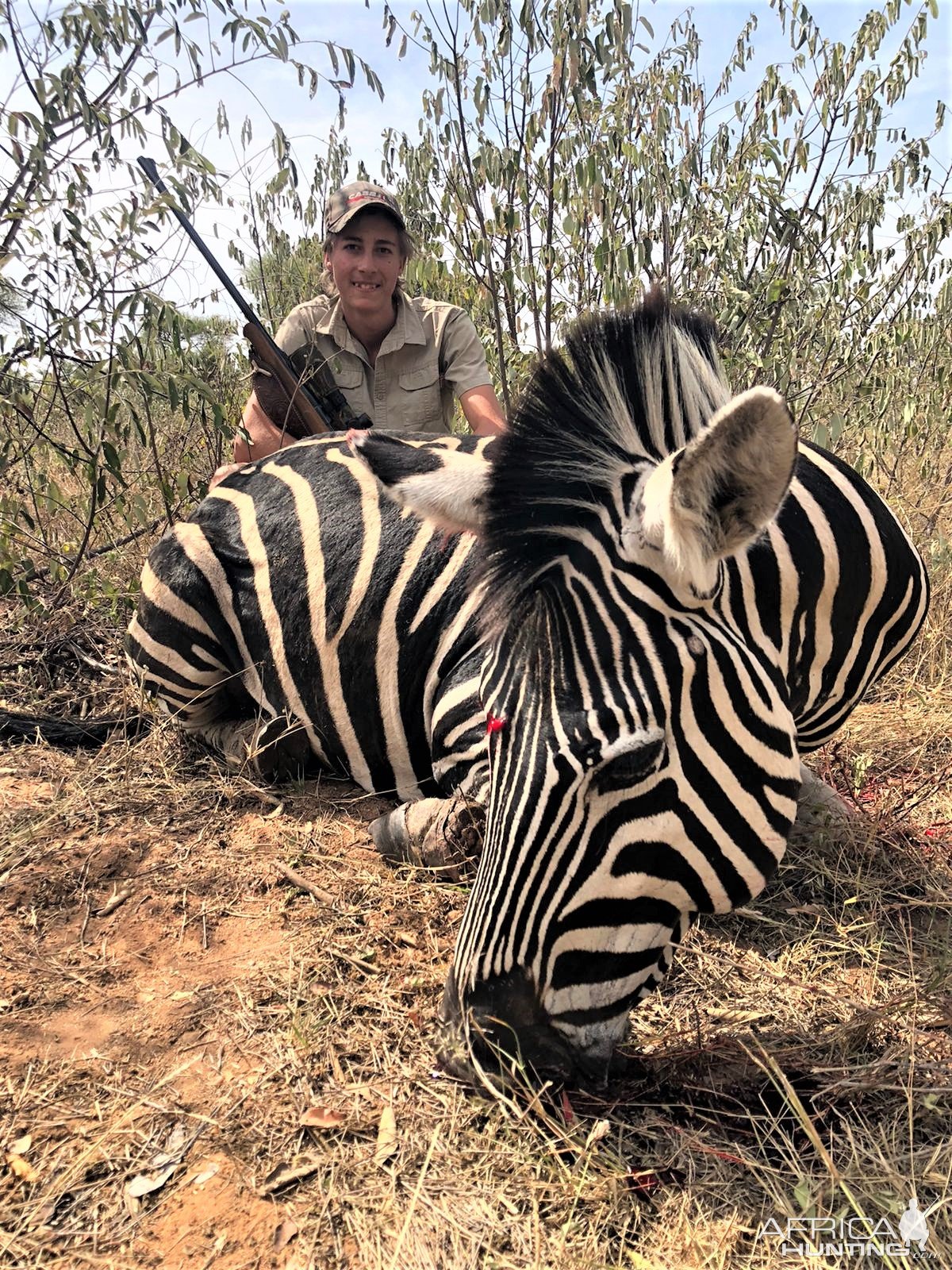 Zebra Hunting South Africa