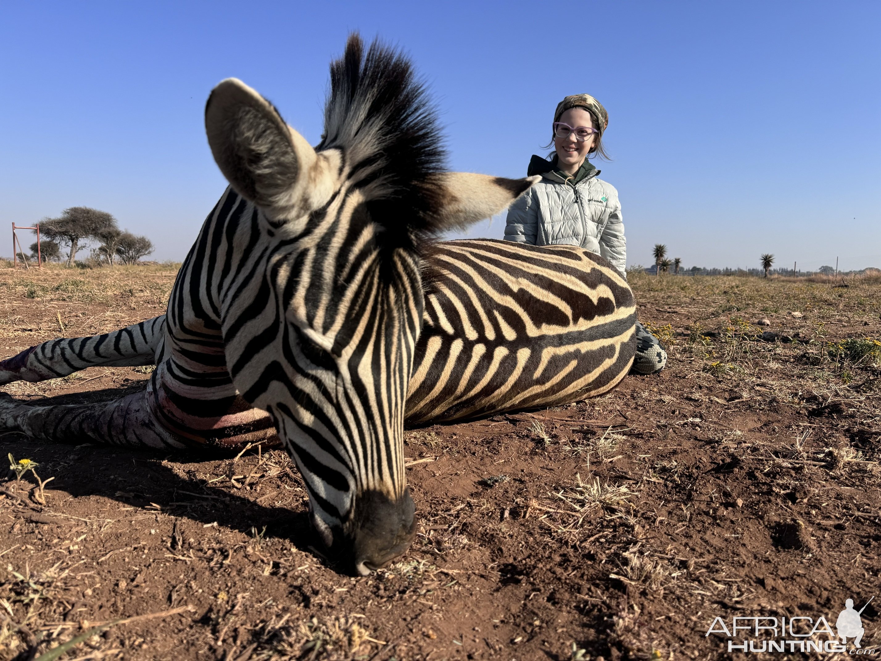 Zebra Hunting South Africa