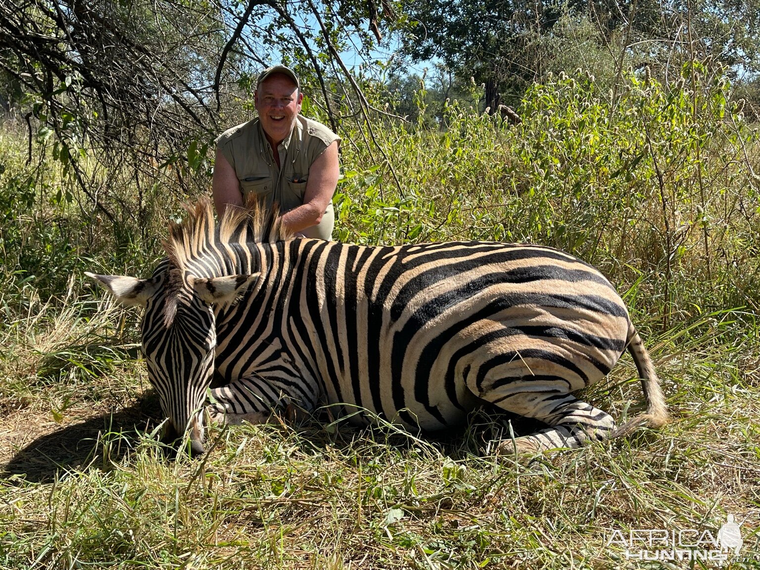 Zebra Hunting Zimbabwe