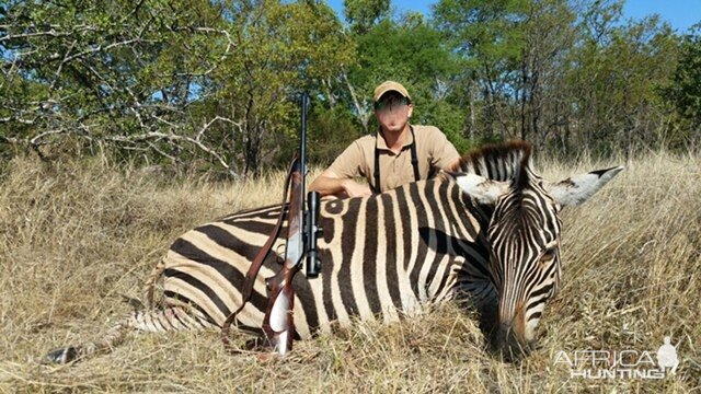 Zebra Hunting Zimbabwe