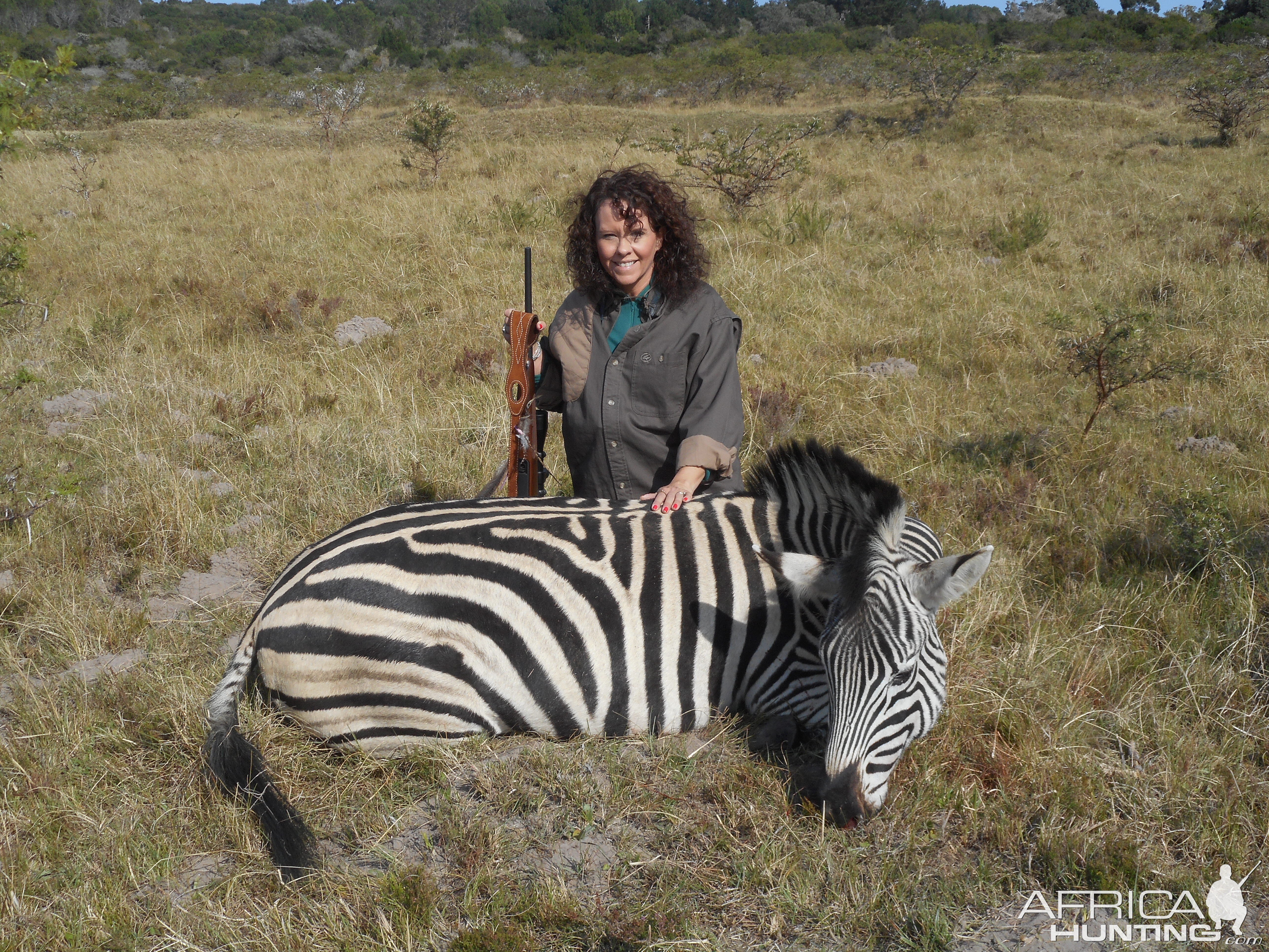 Zebra Hunting