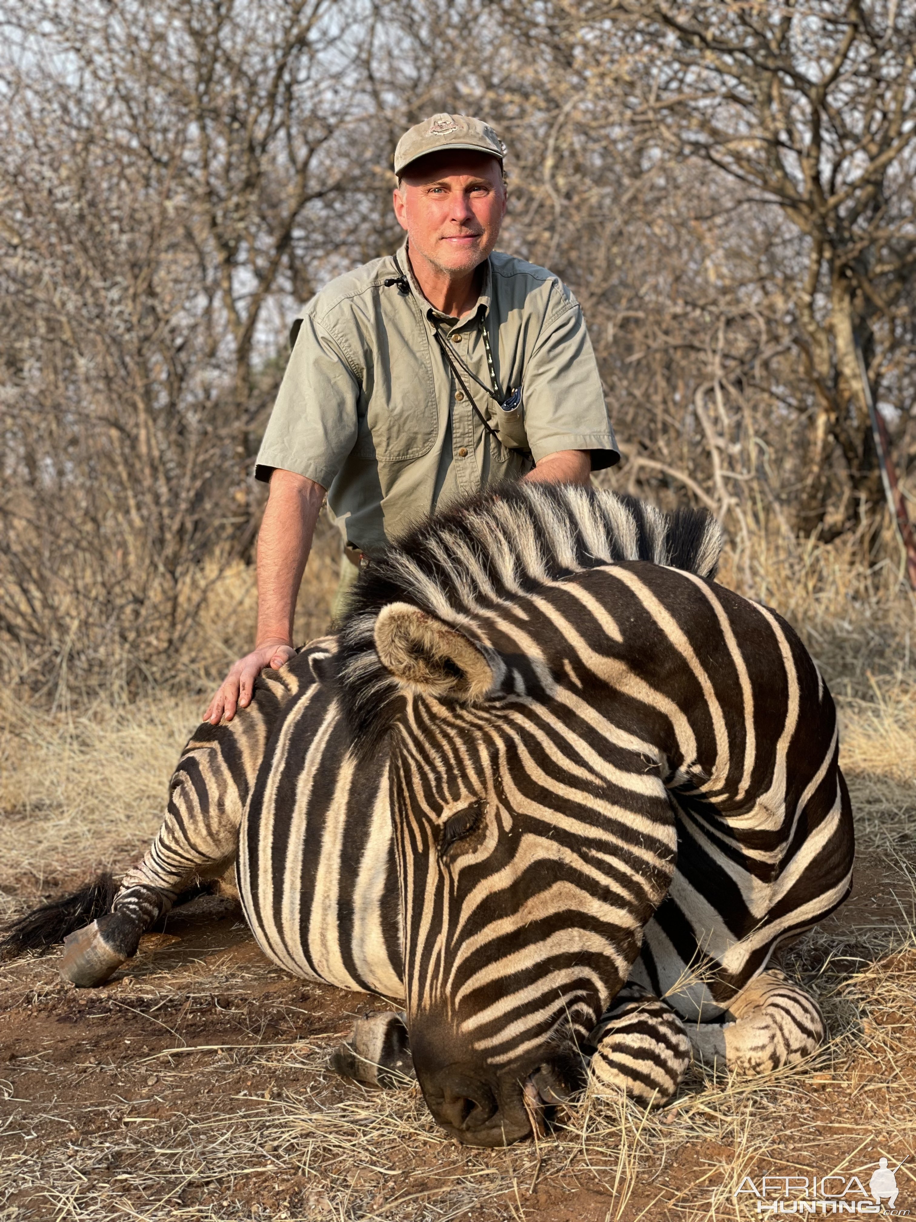 Zebra Hunting