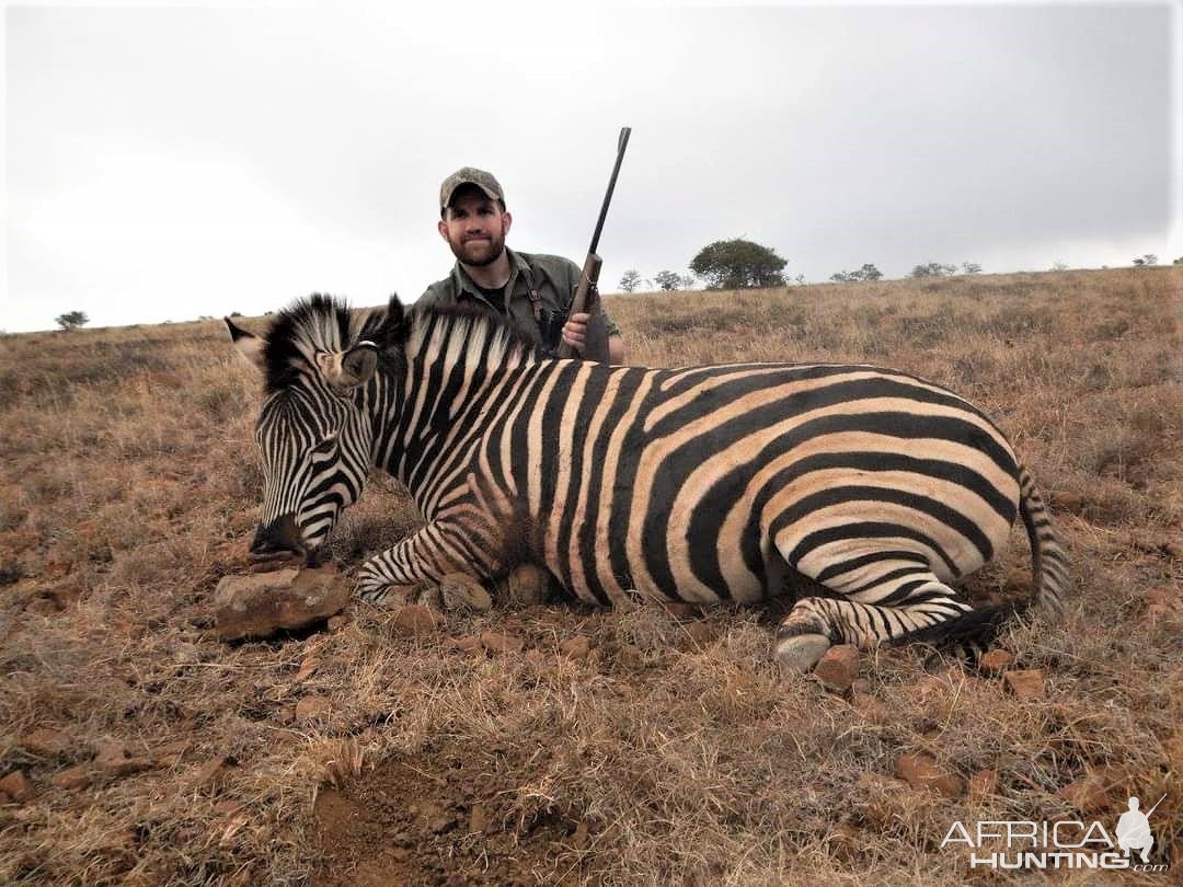 Zebra Hunting