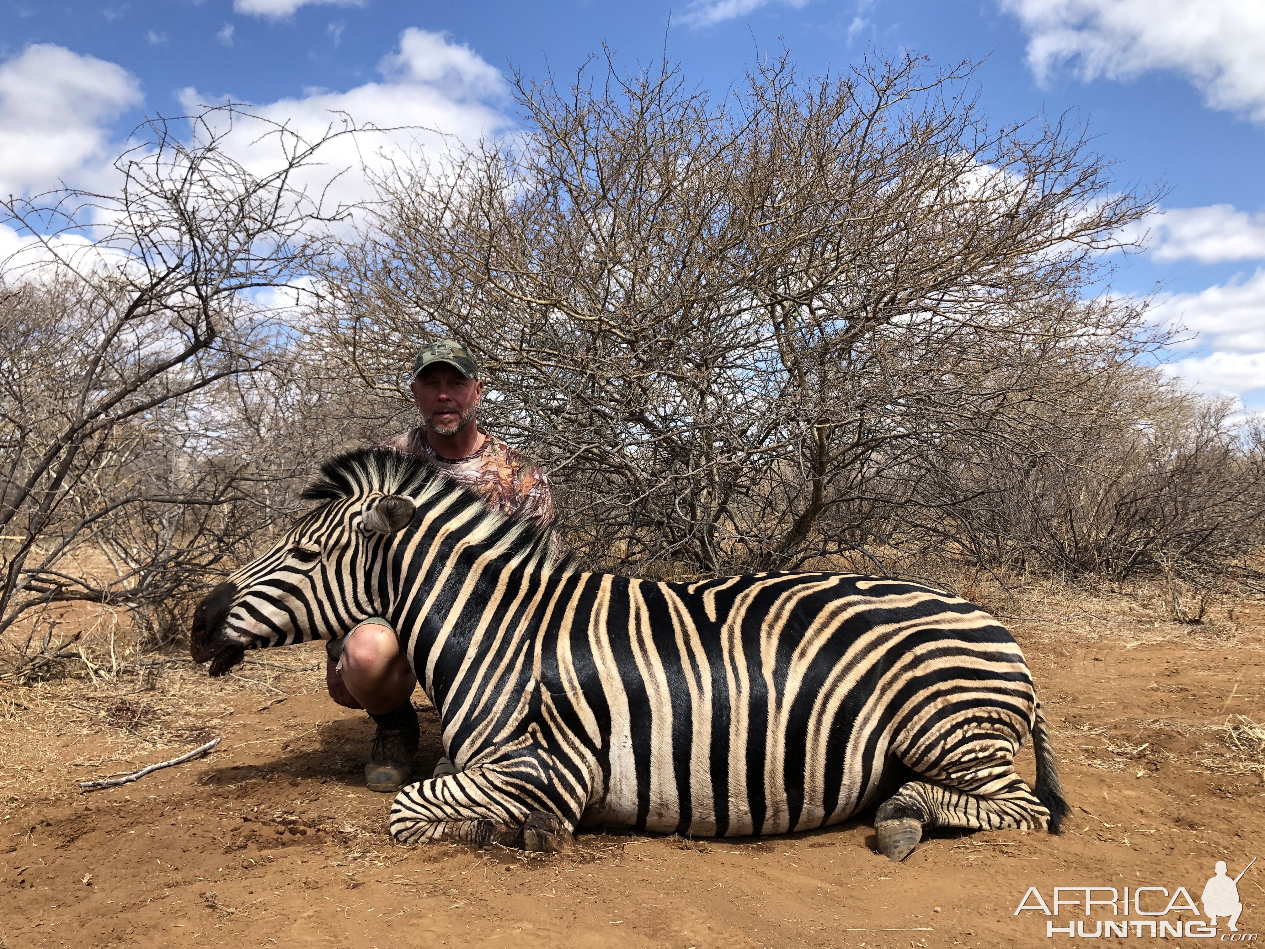 Zebra Hunting