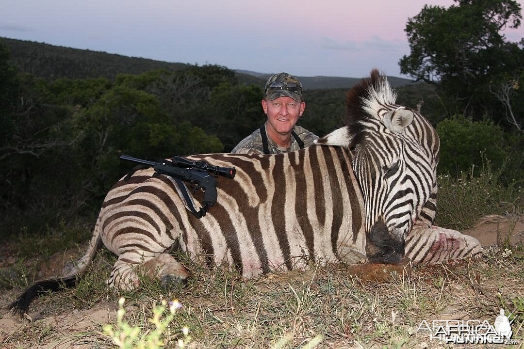 Zebra in the Eastern Cape