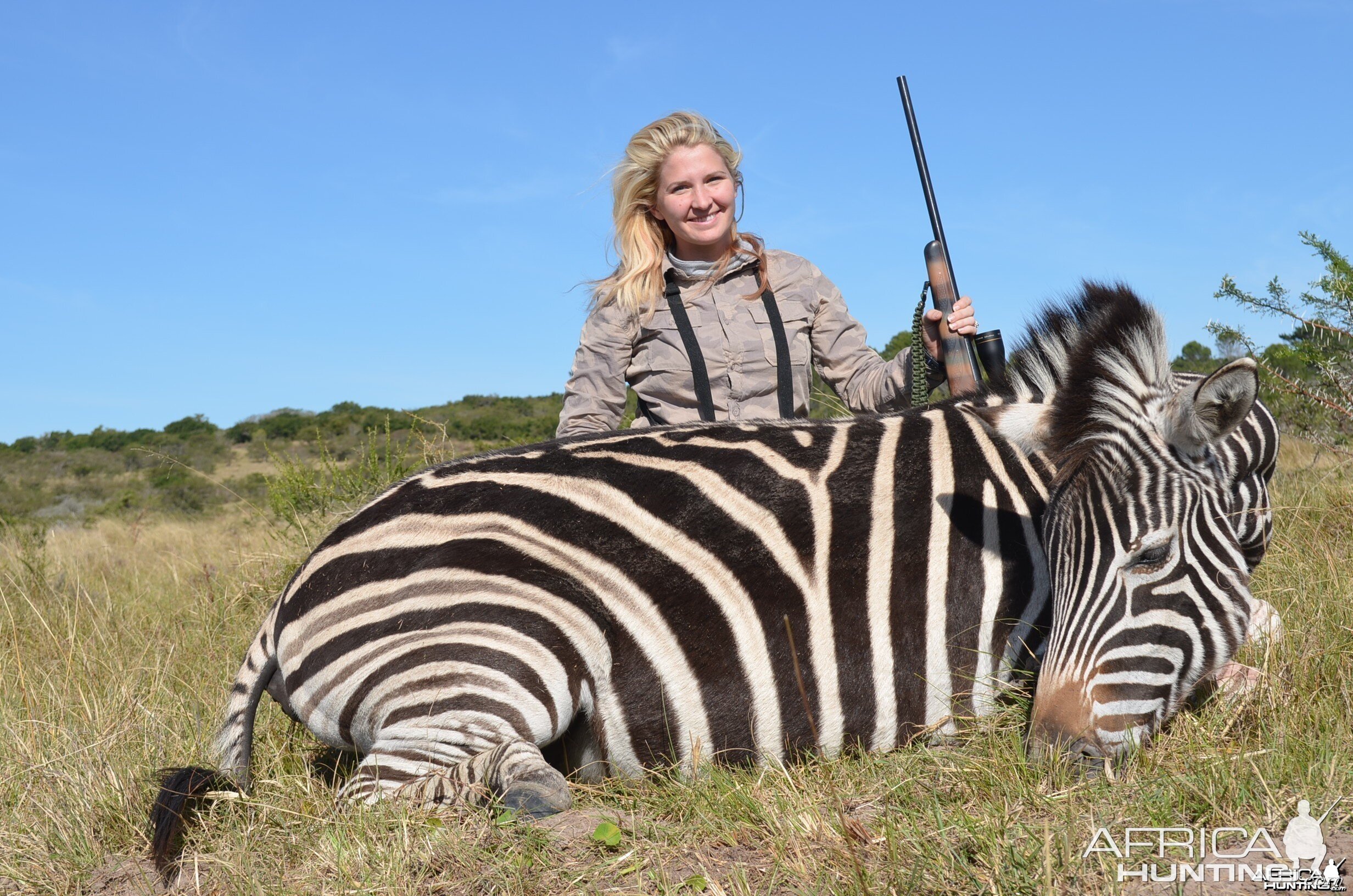 Zebra KMG Hunting Safaris