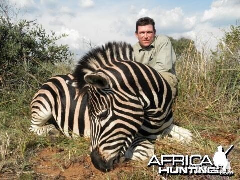 Zebra Limpopo 2011