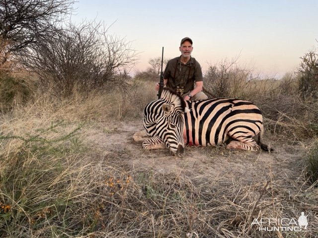 Zebra Mare Hunt South Africa