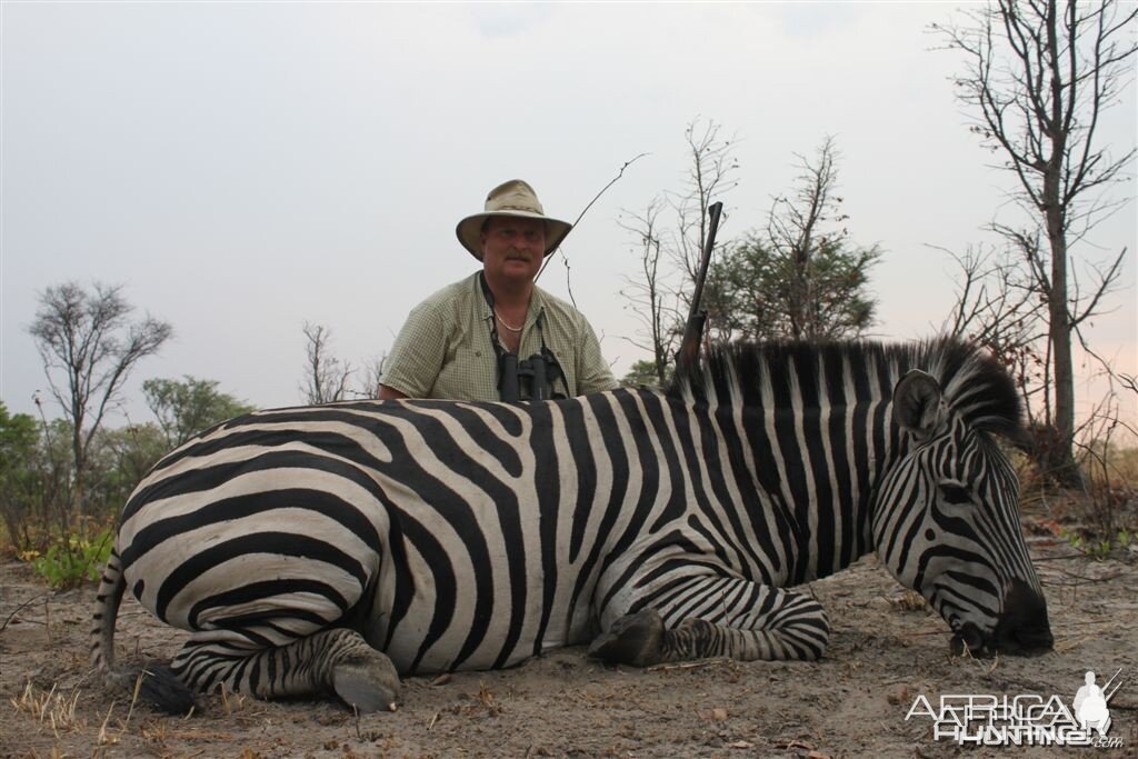 Zebra Namibia