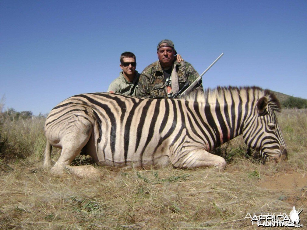 Zebra Namibia