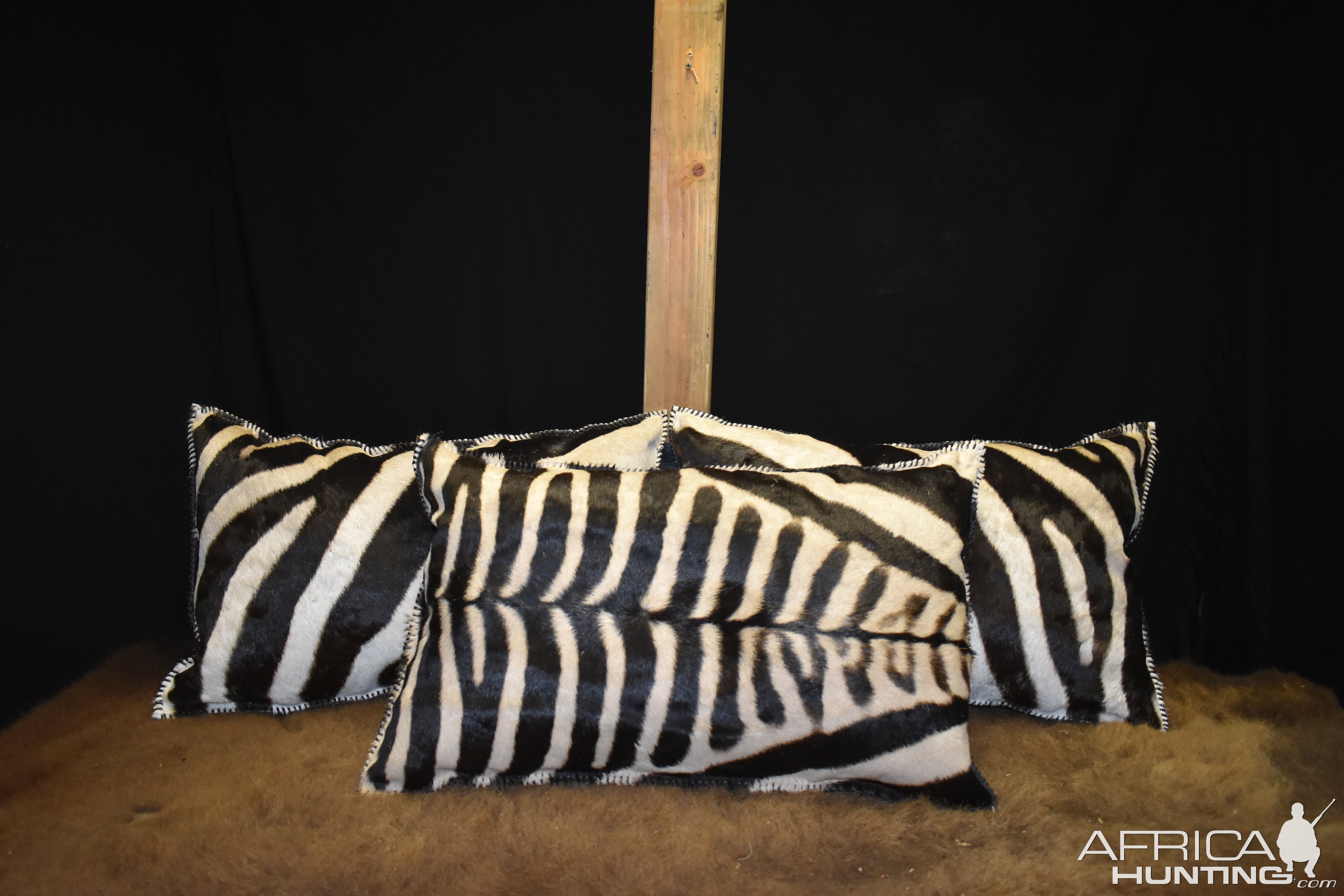 Zebra Pillow