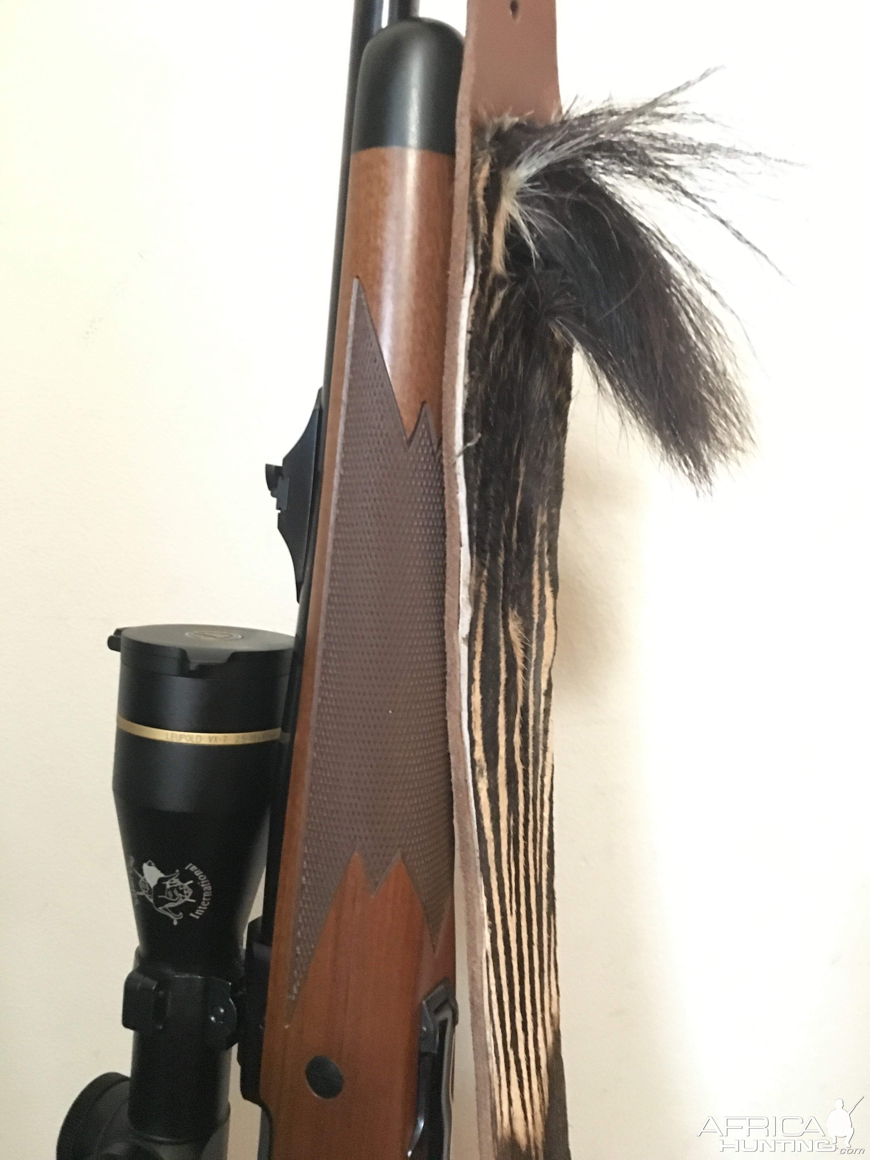 Zebra Rifle Sling Taxidermy