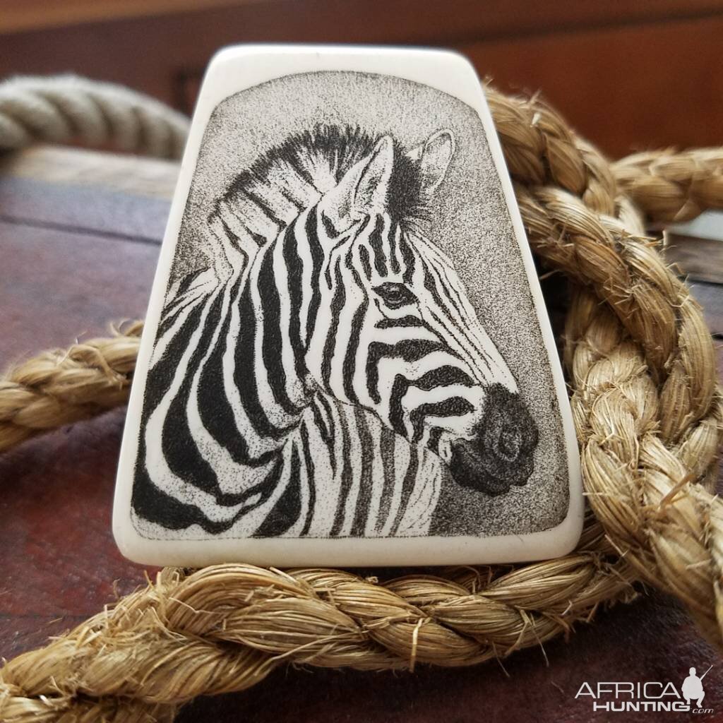 Zebra Scrimshaw Art on Ebony stand