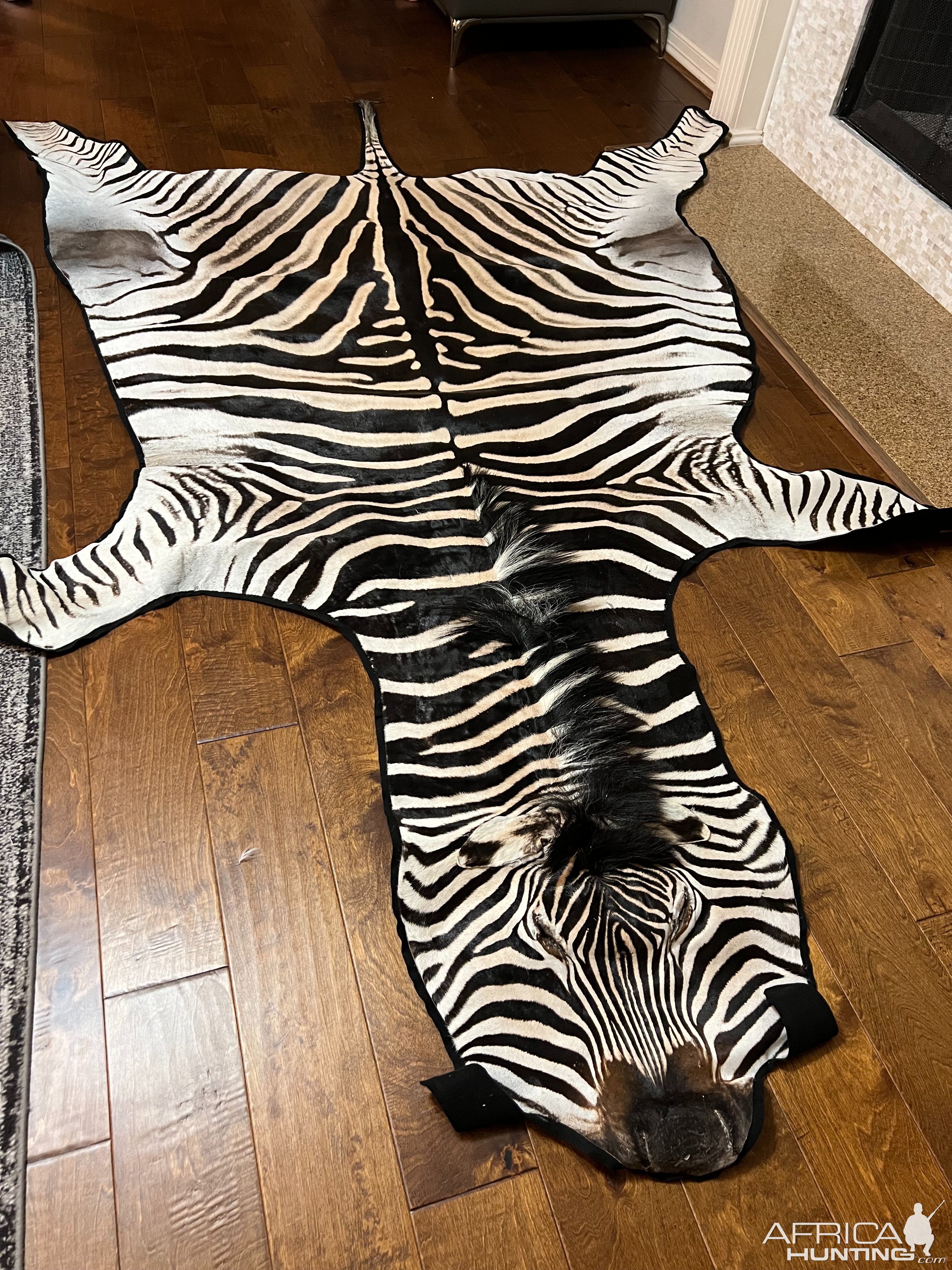 Zebra Skin Rug