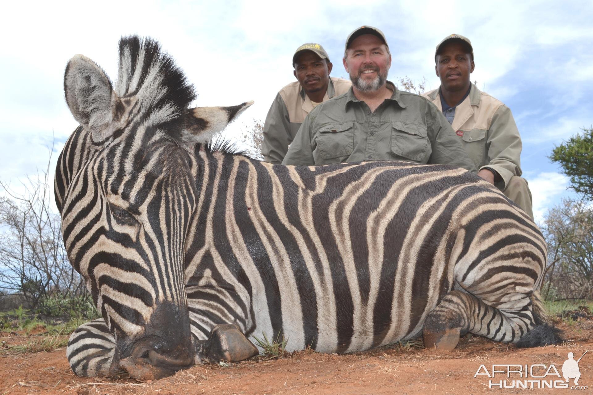 Zebra South Africa