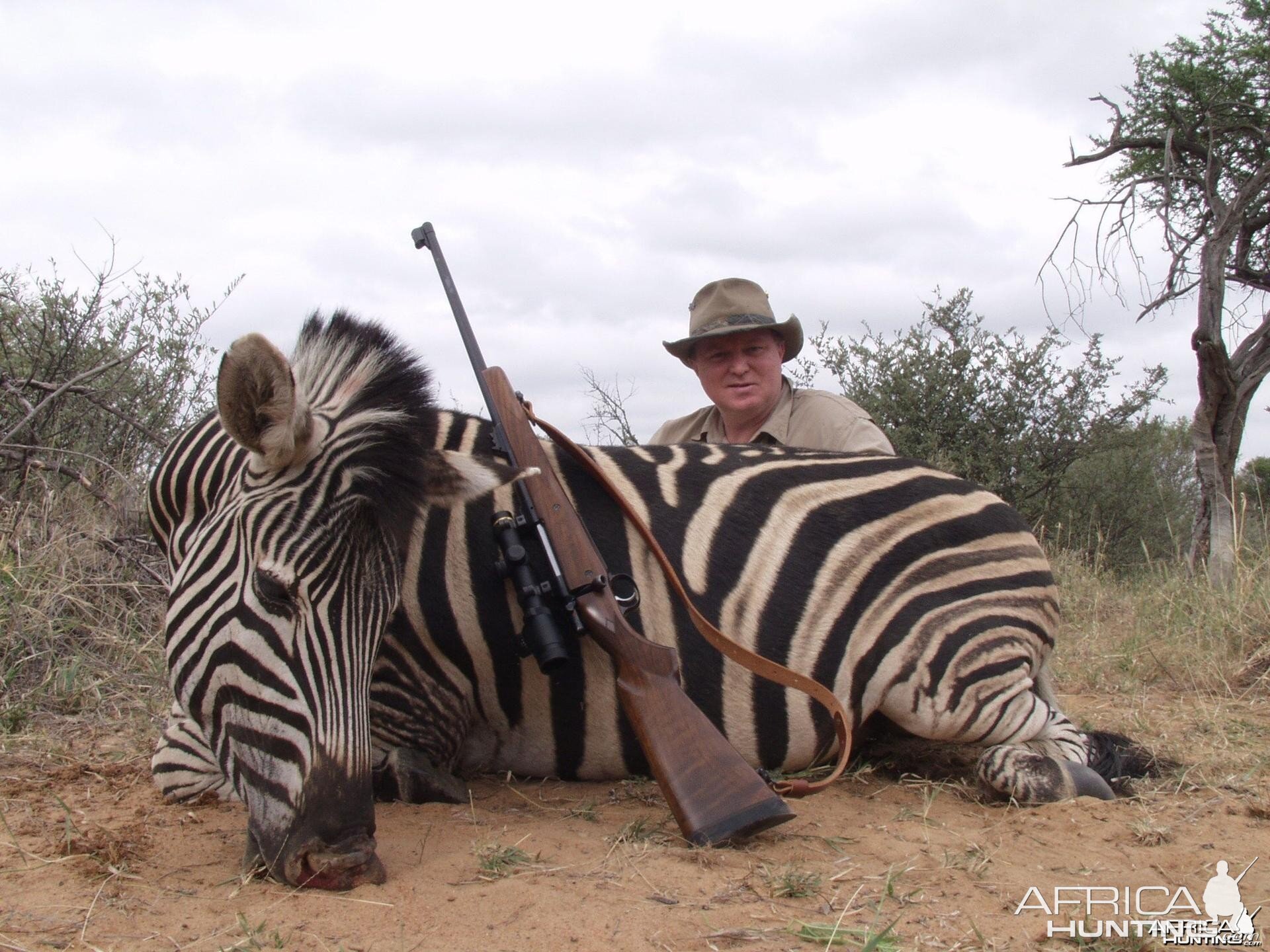 Zebra South Africa