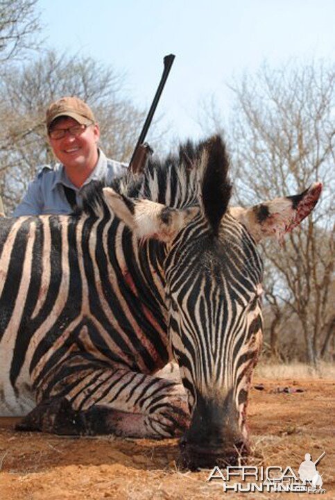 Zebra South Africa