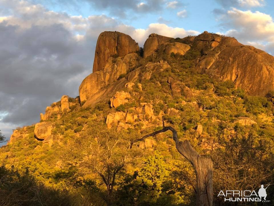 Zimbabwe Area