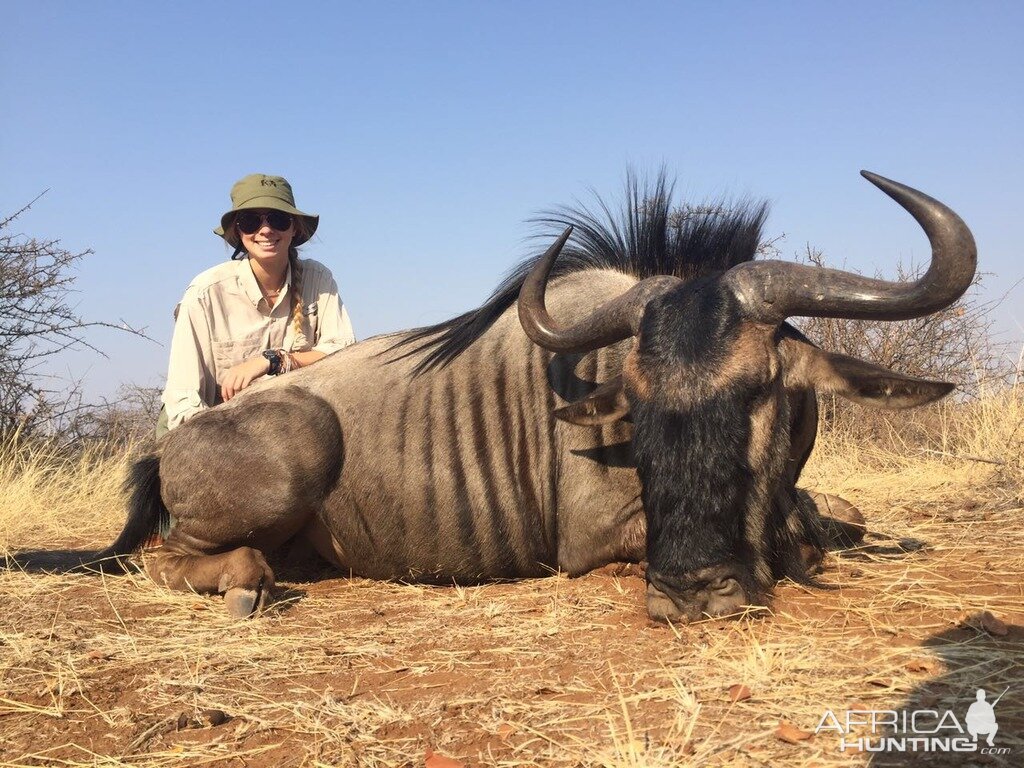 Zimbabwe Blue Wildebeest Hunting