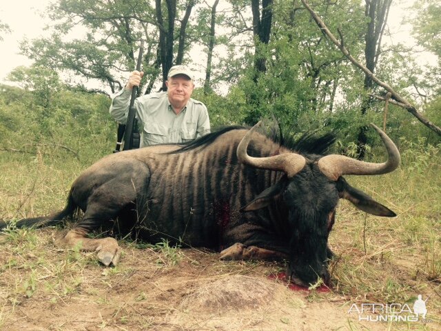 Zimbabwe Blue Wildebeest Hunting