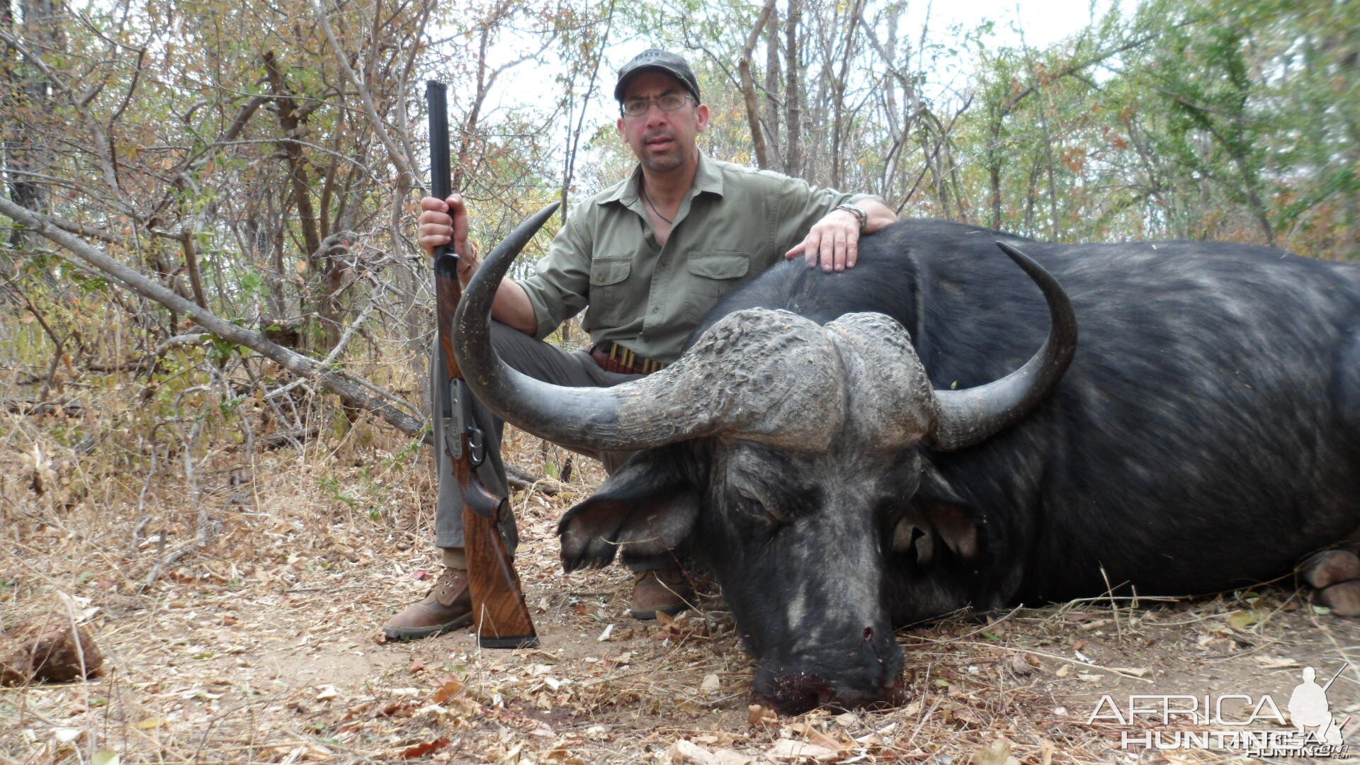 Zimbabwe Buffalo 2012