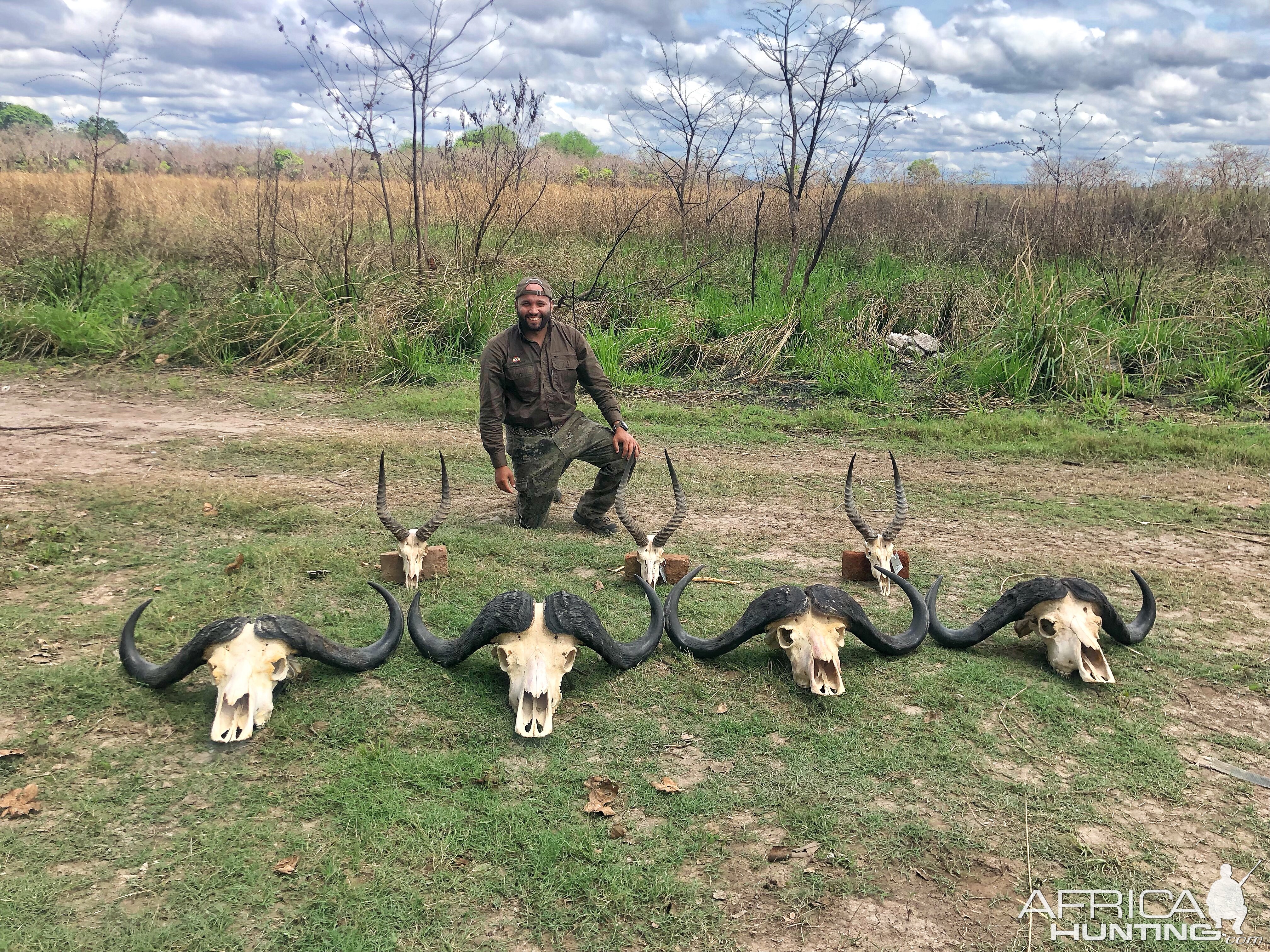 Zimbabwe Buffalo and trophies