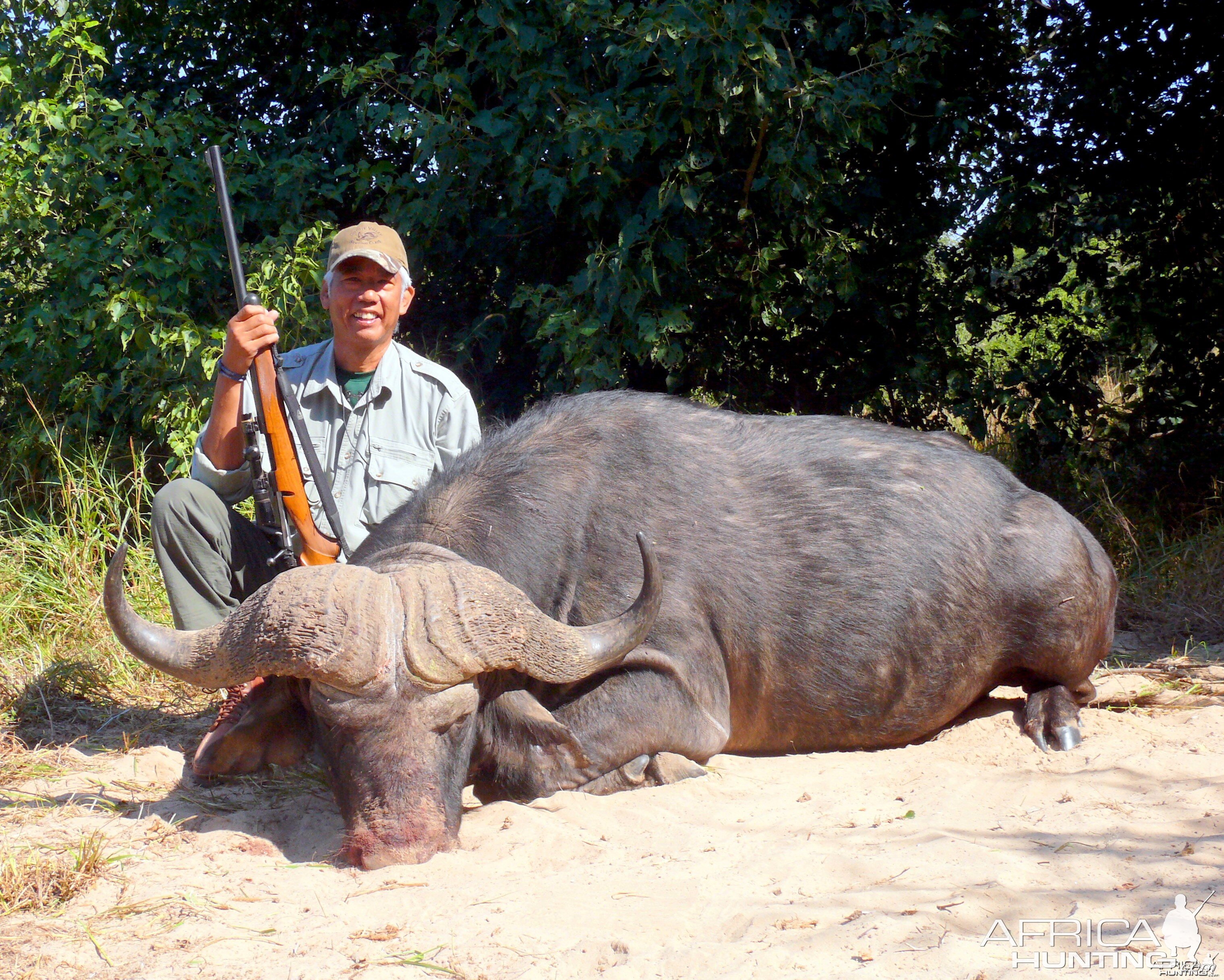 zimbabwe buffalo