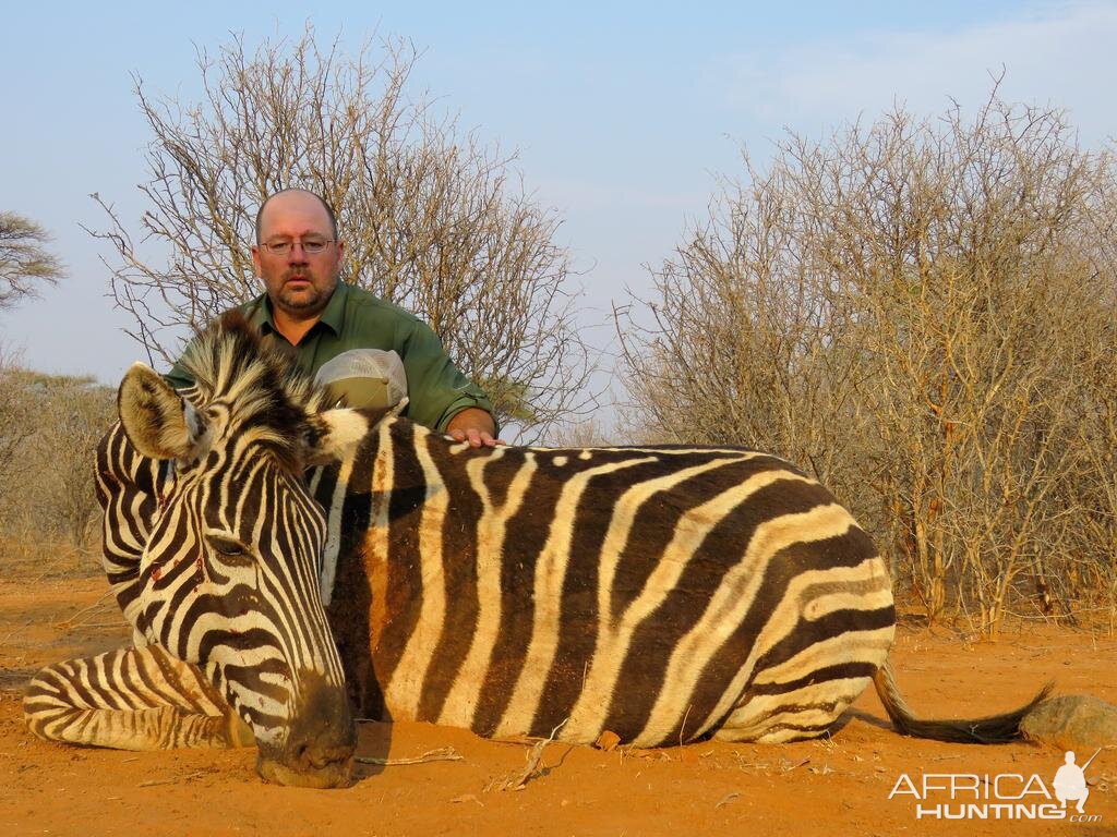 Zimbabwe Burchell's Plain Zebra Hunt