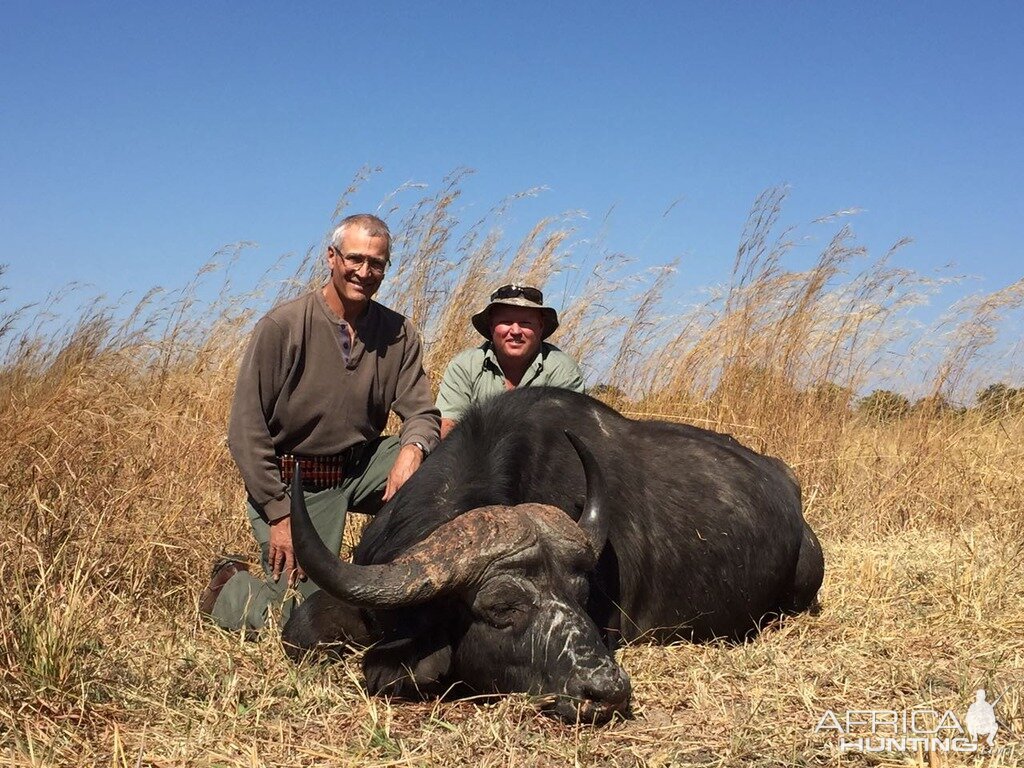 Zimbabwe Cape Buffalo Hunt