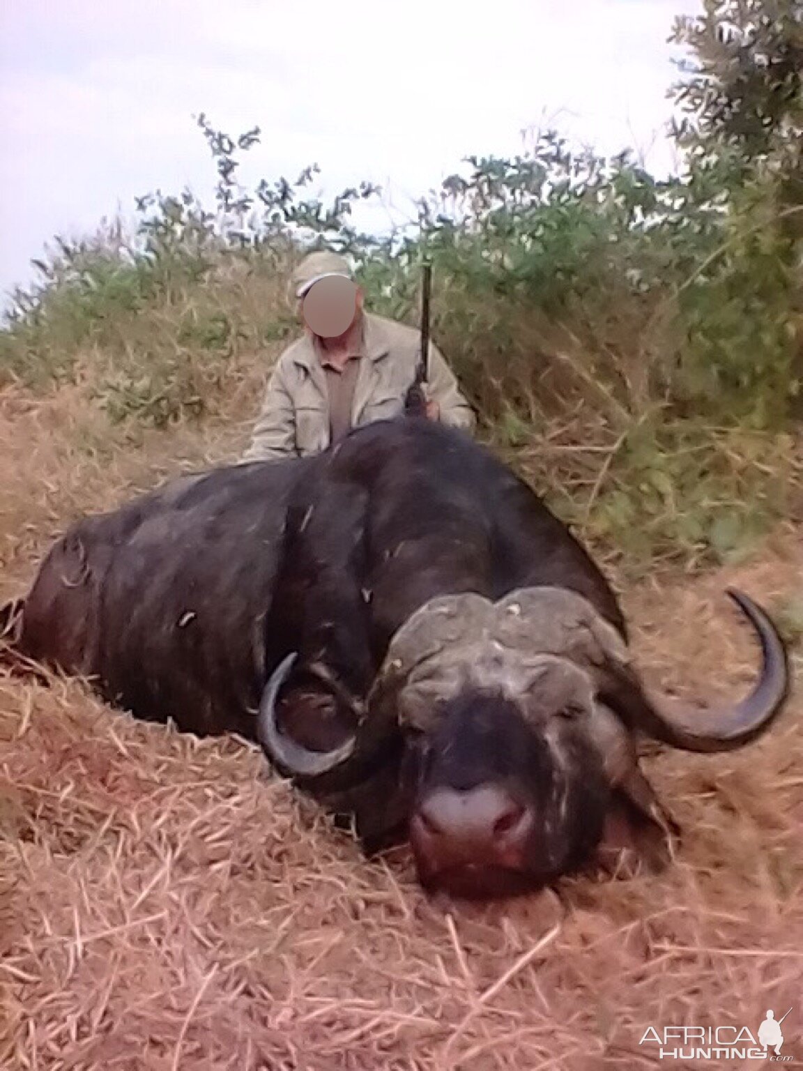 Zimbabwe Cape Buffalo Hunt