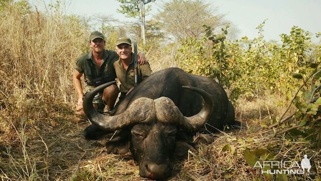 Zimbabwe Cape Buffalo Hunting