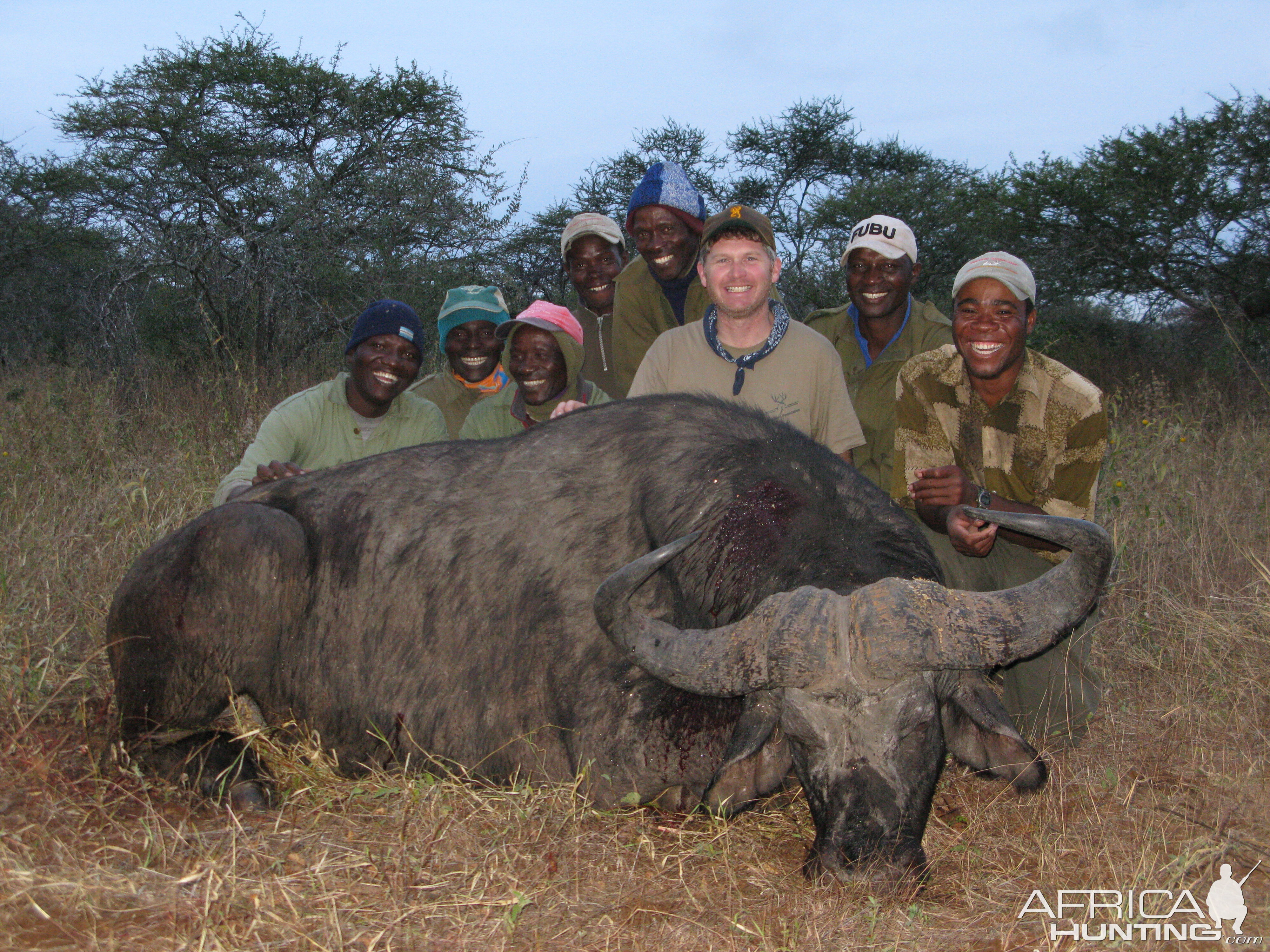 Zimbabwe Cape Buffalo