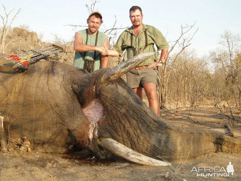 Zimbabwe Elephant Bowhunt