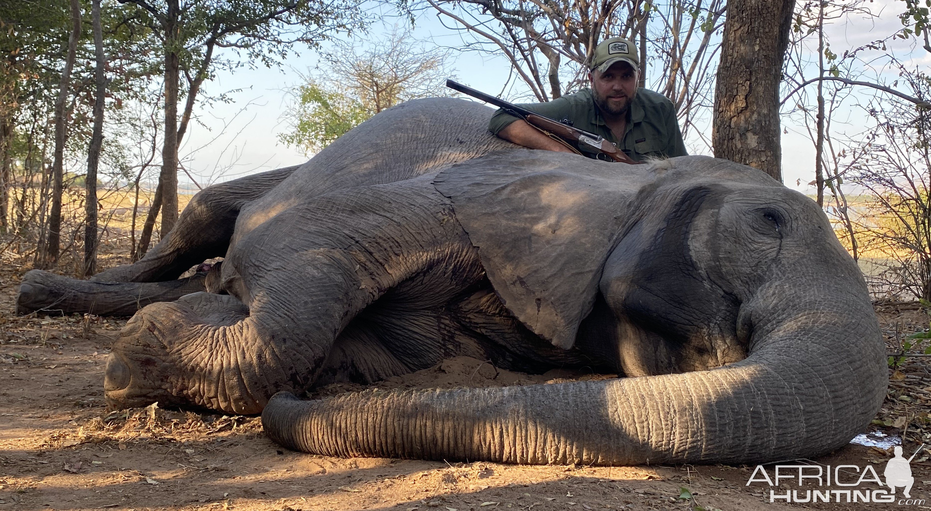 Zimbabwe Elephant Hunt