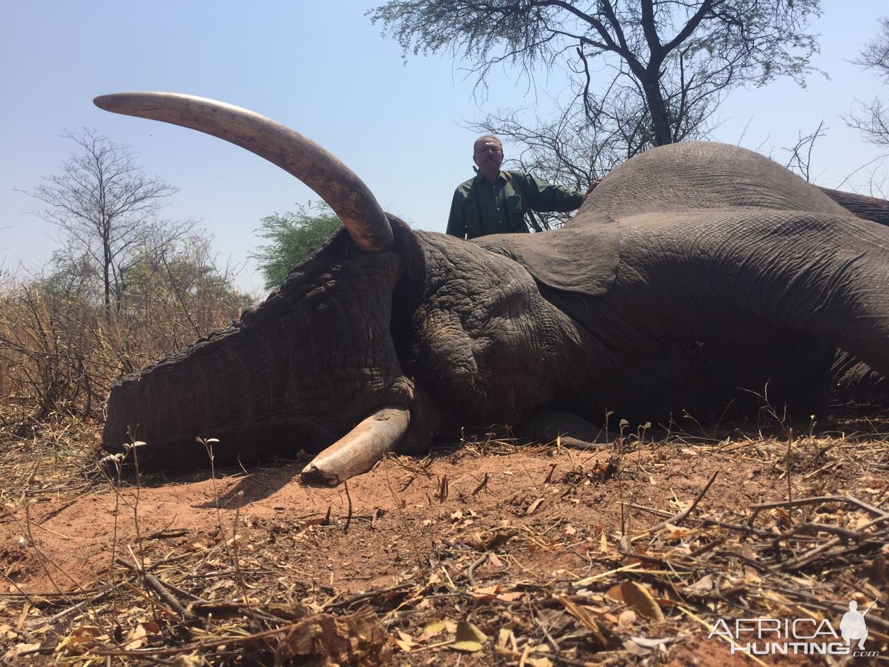 Zimbabwe Elephant Hunting