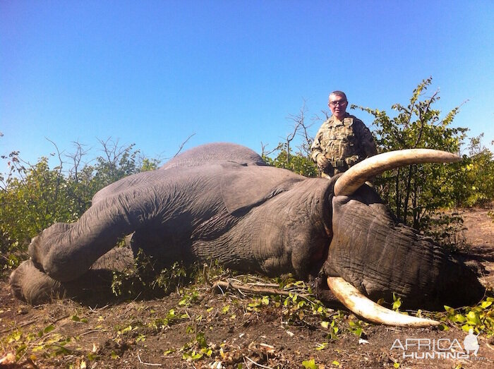 Zimbabwe Elephant Hunting